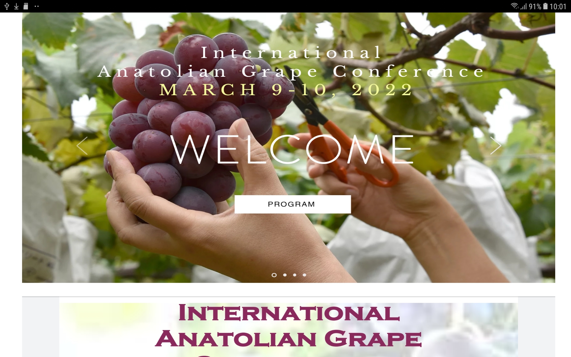 Conferința internațională a strugurilor din Anatolia 9-10 martie 2022 Besni , provincia Adiyaman Turcia